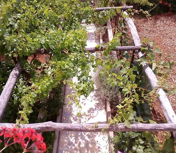 Lejlighed Drpic Gabonjin